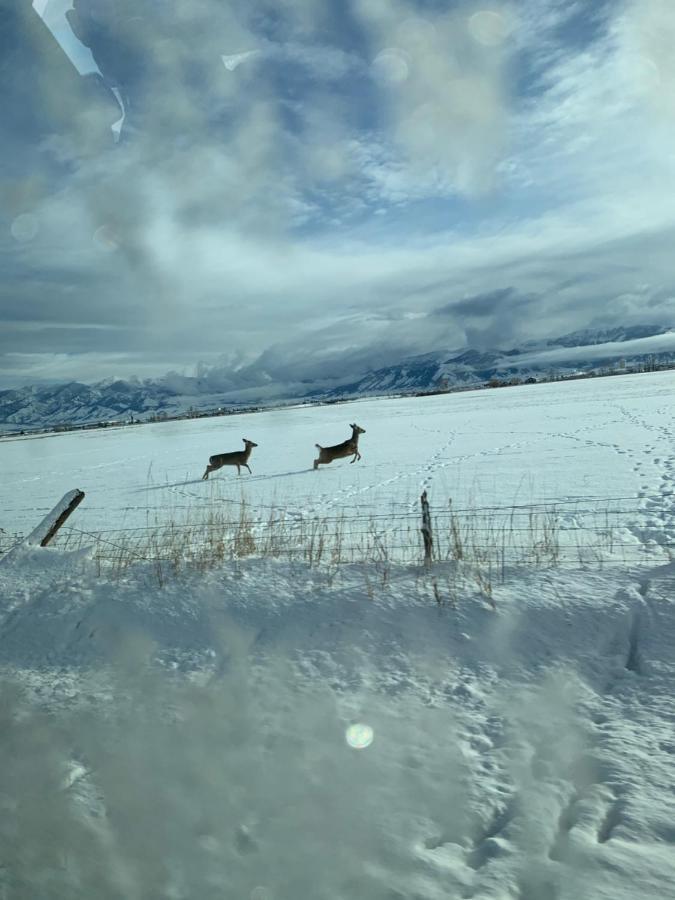 Fox Hollow Inn Bozeman Bagian luar foto