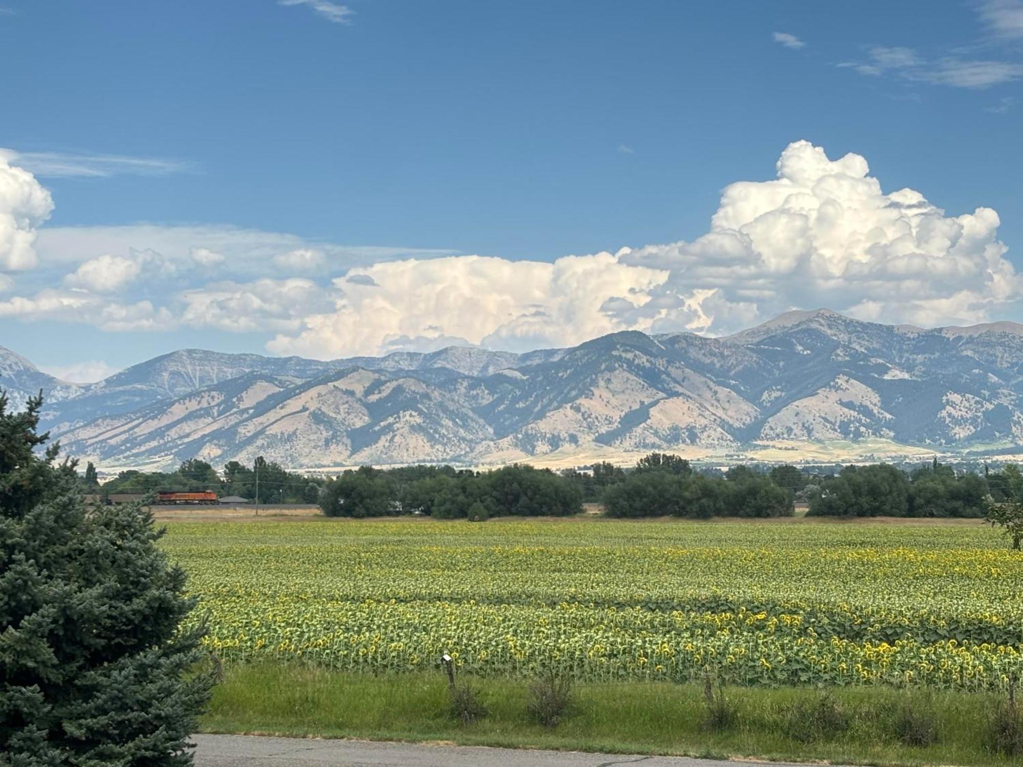 Fox Hollow Inn Bozeman Bagian luar foto