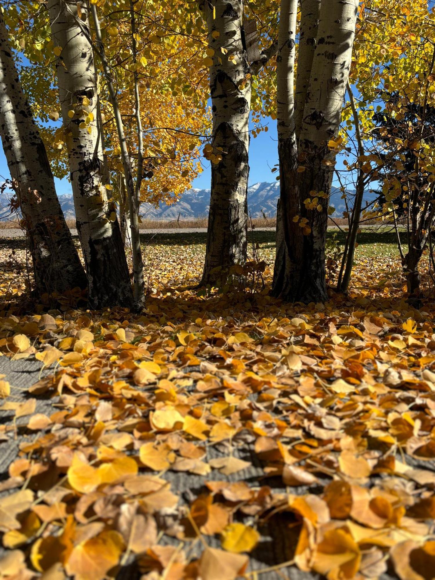 Fox Hollow Inn Bozeman Bagian luar foto